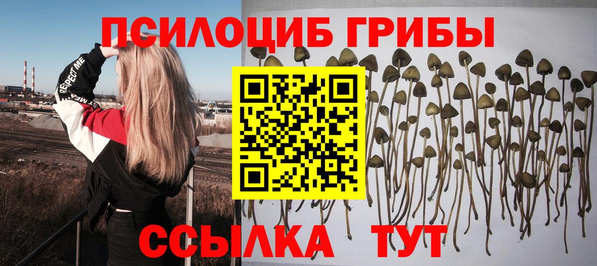 Галлюциногенные грибы мухоморы  Вход с VPN  закладка  Моздок 
