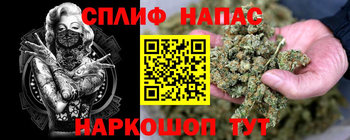 Канабис OG Kush Моздок